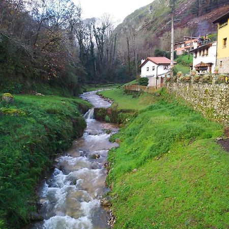 El Rinconin De Degu Villa San Juan de Parres ภายนอก รูปภาพ