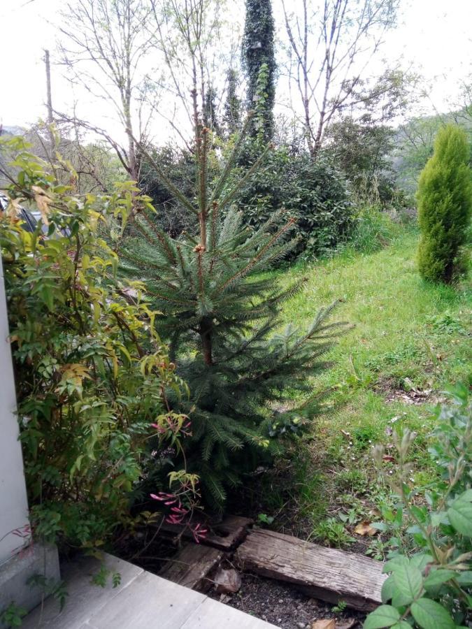 El Rinconin De Degu Villa San Juan de Parres ภายนอก รูปภาพ