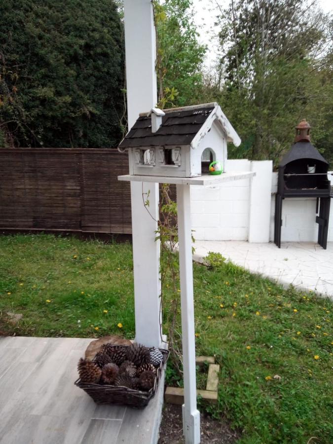 El Rinconin De Degu Villa San Juan de Parres ภายนอก รูปภาพ