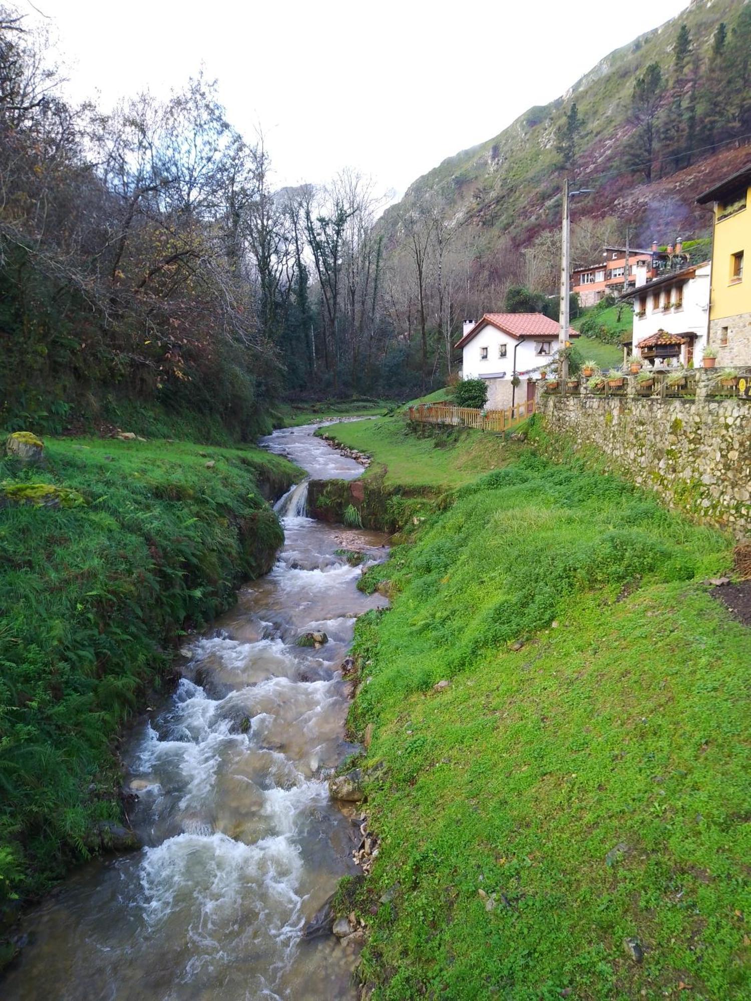 El Rinconin De Degu Villa San Juan de Parres ภายนอก รูปภาพ